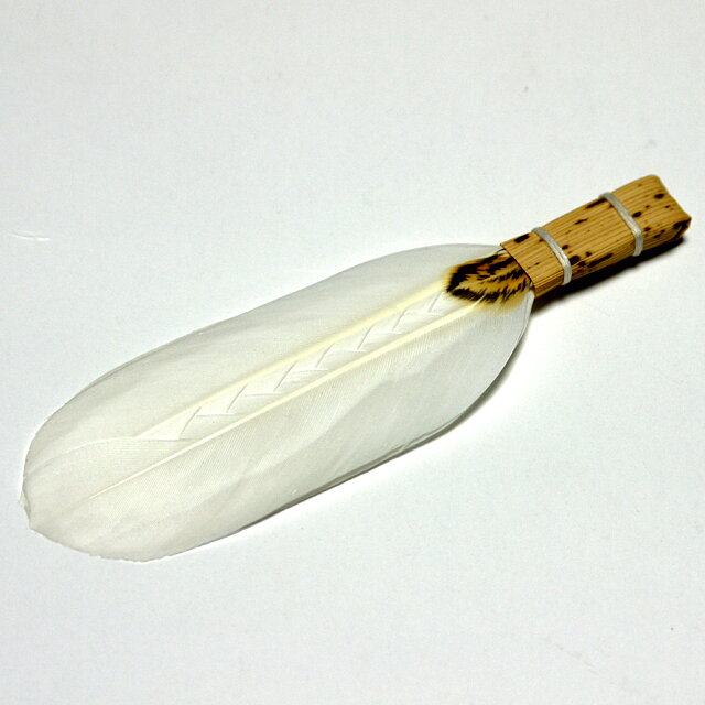 小羽箒(小羽)
